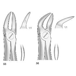 Forceps n 55-56  Bontempi - Separar molares