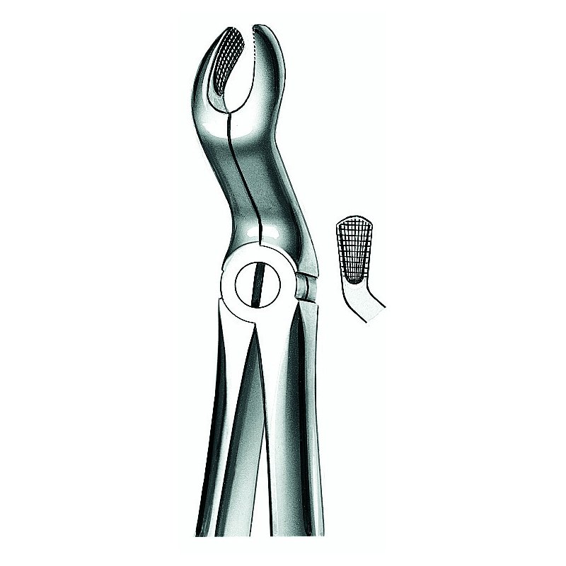 Forceps n 67 A  American Eagle-Royal Dent - Cordales superiores