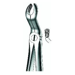 Forceps n 67 A  American Eagle-Royal Dent - Cordales superiores
