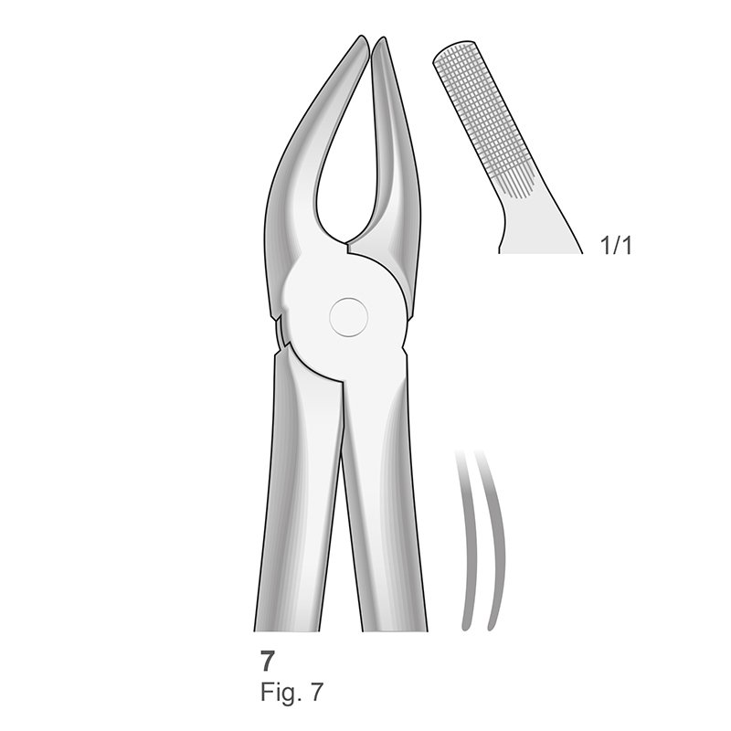 Forceps n 7 Bontempi - Premolar superior