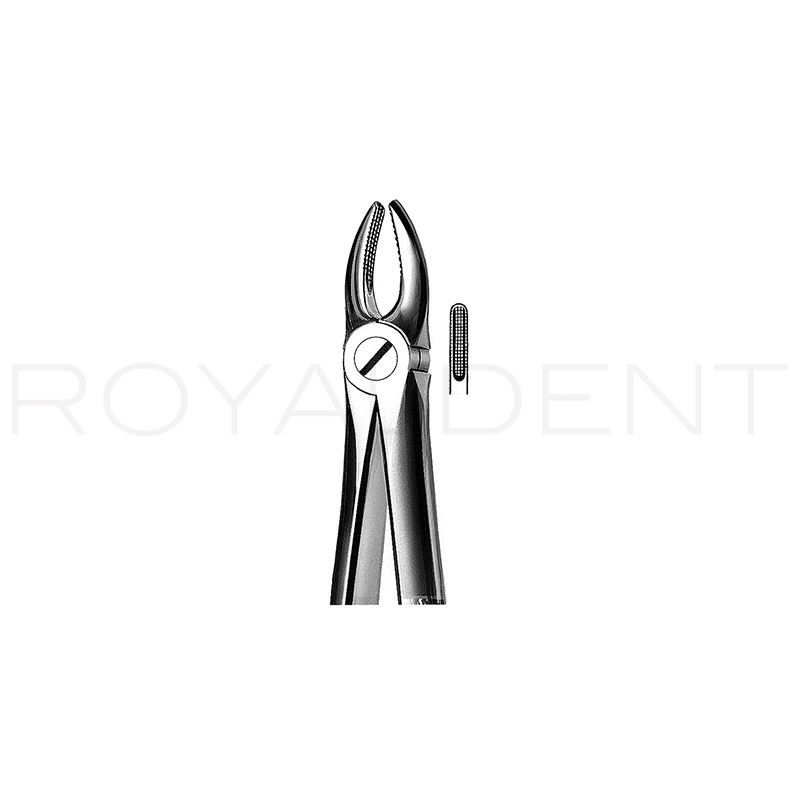 Forceps número 1 Incisivos y caninos superiores American Eagle-Royal Dent - 