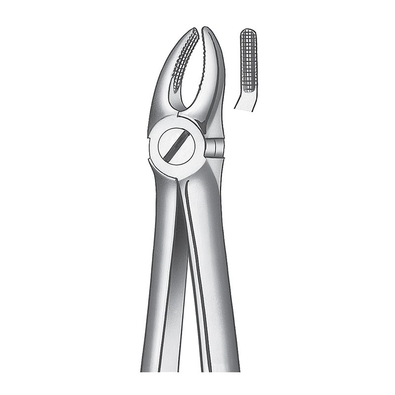 Forceps número 7 para premolar superior Carl Martin - unidad