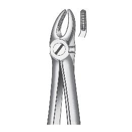 Forceps número 7 para premolar superior Carl Martin - unidad