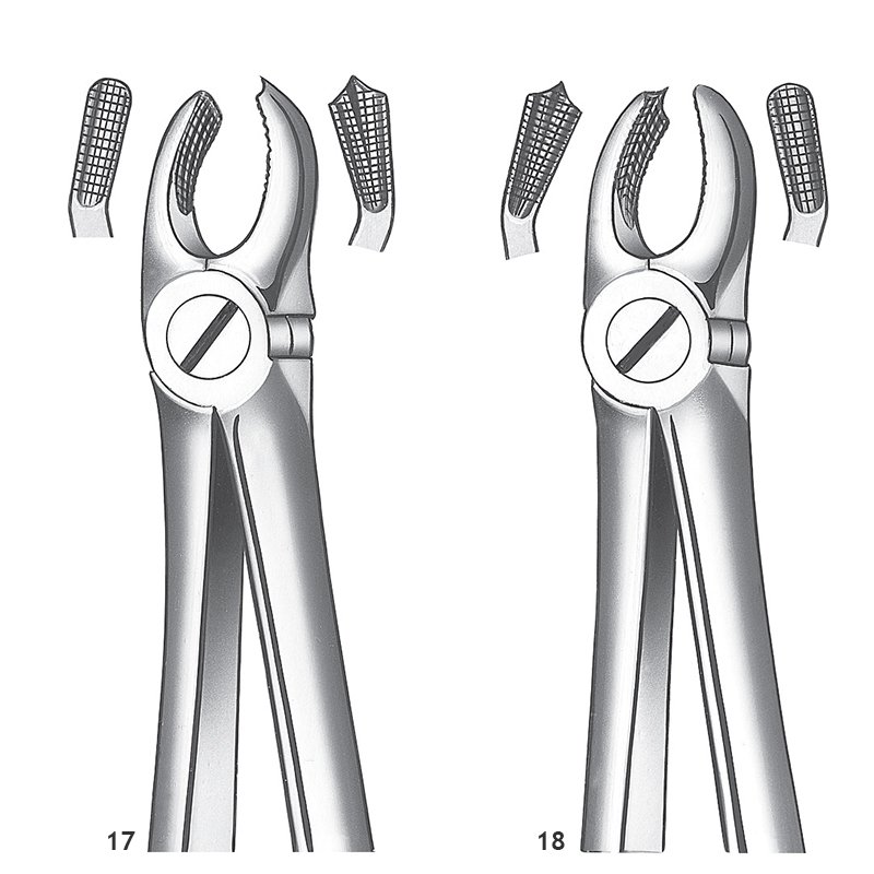 Forceps números 17-18 para molares superioes. Carl Martin - 