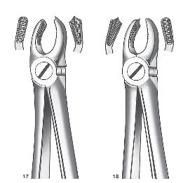 Forceps números 17-18 para molares superioes. Carl Martin - 