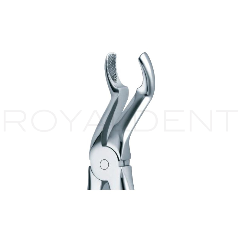 Forceps Octavos superiores 67A American Eagle-Royal dent - 