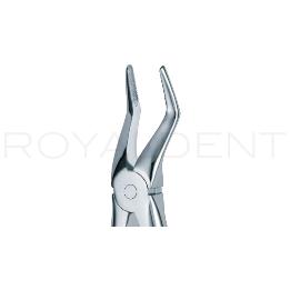 Forceps Raices Superior 51A American Eagle-Royal dent - 