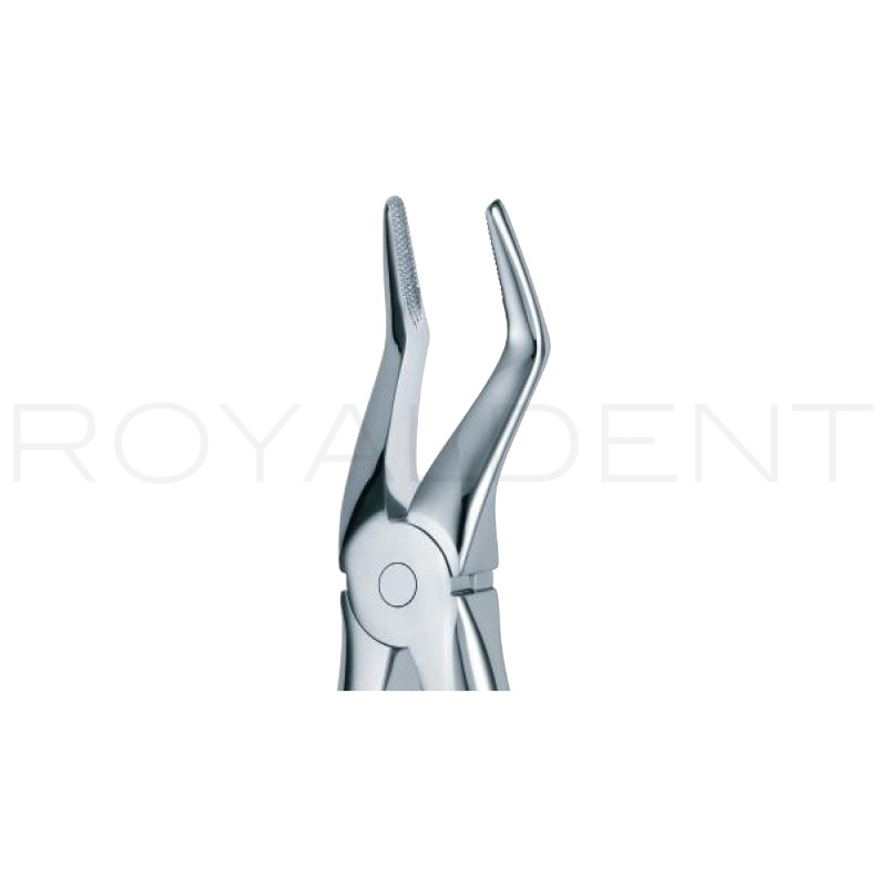 Forceps Raices Superior 51A American Eagle - 