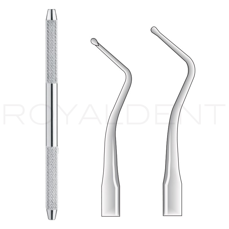 Cucharilla dentina número 1 American Eagle-Royal dent - 