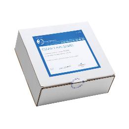 Clear 1 mm - rígidas Laboratorios Clarben - Caja de 25 unidades. Cuadradas