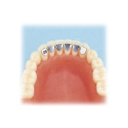 Canino-Canino inferior reposición Leone - Confección de 2 unidades.