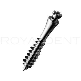 Microtornillos de Titaneo ortodóntico  Fatscrew con ojal Fatscrew - unidad