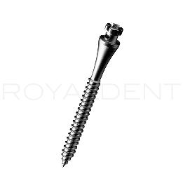 Microtornillos de Titaneo ortodóntico  Fatscrew L con ojal Fatscrew L - unidad