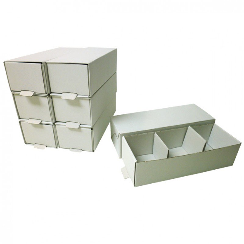 Caja para guardar modelos Royal-Dent - 100 unidades