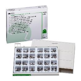 Coronas metálicas PO-96 Kit Solventum - Caja de 96 unidades, para el primer molar permanente.